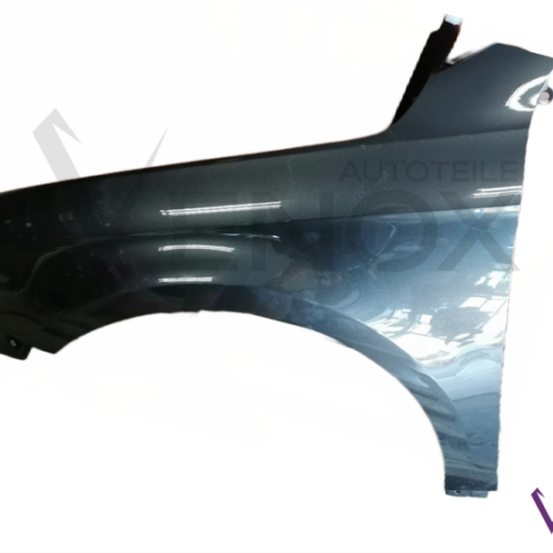 Voor VW PASSAT B7 10-15 Spatbord links geschilderd in LB8R NIEUW